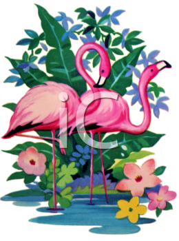 Bird Clipart