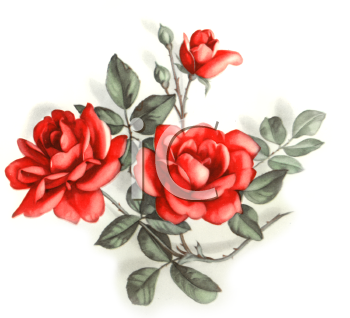 Nature and Scenic Clipart