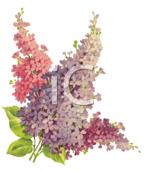 Nature and Scenic Clipart