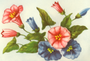 Flower Clipart