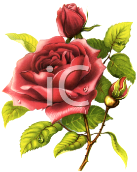 Nature and Scenic Clipart