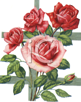 Nature and Scenic Clipart