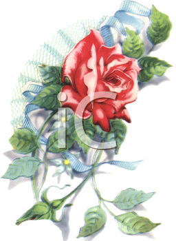 Nature and Scenic Clipart
