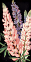 Flower Clipart