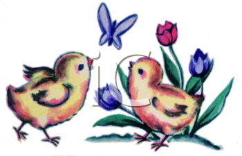Insect Clipart