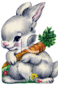 Pet Clipart