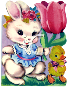 Pet Clipart