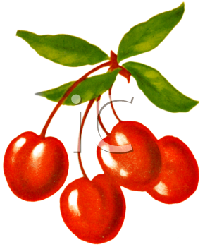 Farm Produce Clipart