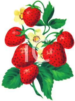 Farm Produce Clipart