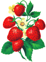Farm Produce Clipart