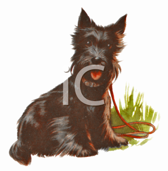 Grass and Tree Clipart