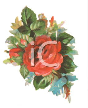 Flower Clipart