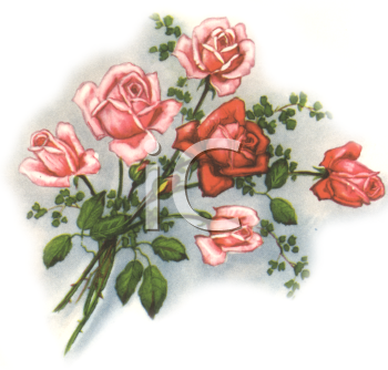 Flower Clipart