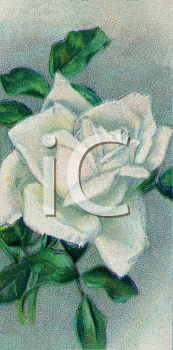 Flower Clipart