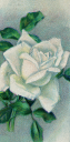 Flower Clipart