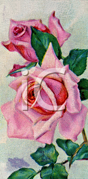 Flower Clipart