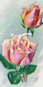 Flower Clipart
