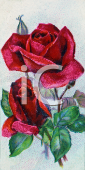 Flower Clipart