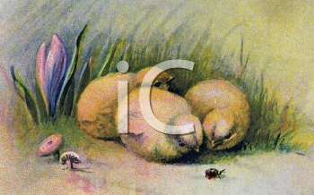 Grass and Tree Clipart