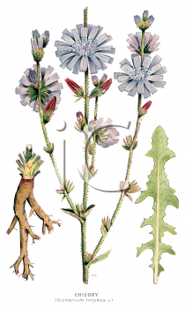 Nature and Scenic Clipart