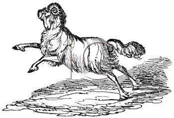 Farm Animal Clipart