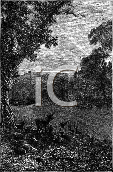 Nature and Scenic Clipart