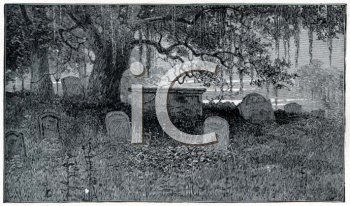 Nature and Scenic Clipart
