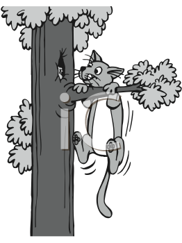Pet Clipart