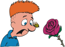 Insect Clipart