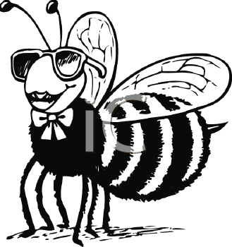 Insect Clipart