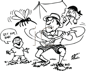 Insect Clipart