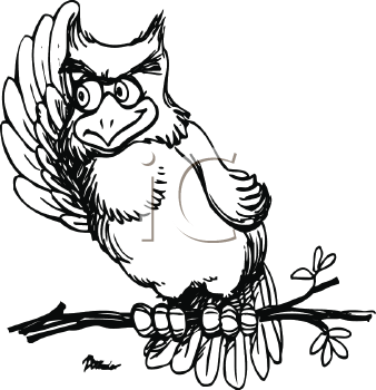 Bird Clipart
