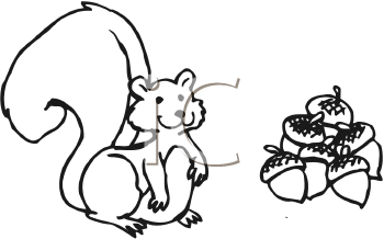 Rodent Clipart