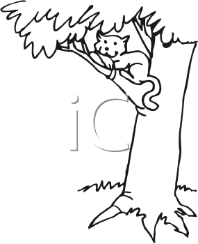 Pet Clipart