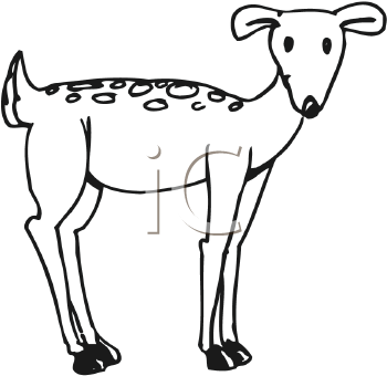 Deer Clipart
