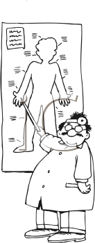 Cartoon Clipart