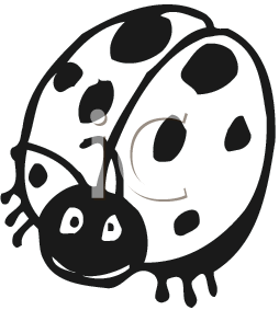 Insect Clipart