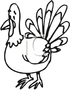 Bird Clipart