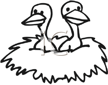 Bird Clipart