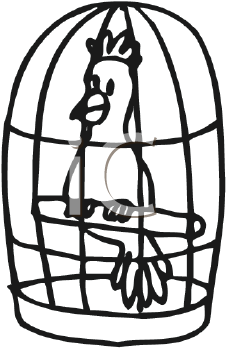 Bird Clipart