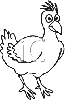 Bird Clipart