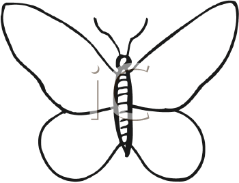 Insect Clipart