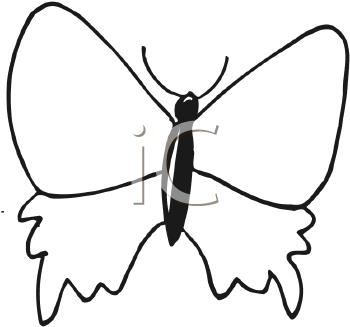 Insect Clipart