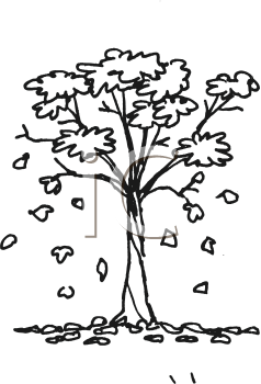 Nature and Scenic Clipart
