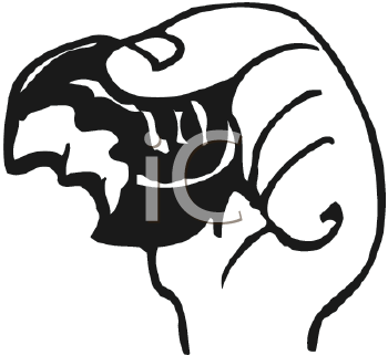 Cartoon Clipart