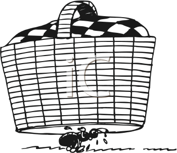 Insect Clipart