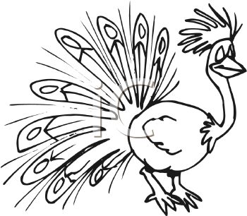 Bird Clipart