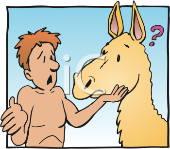 Camel Clipart