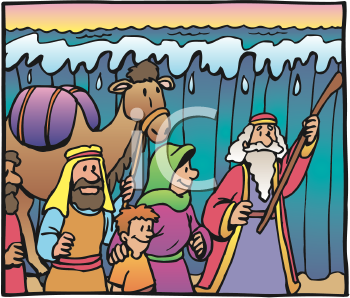 Camel Clipart