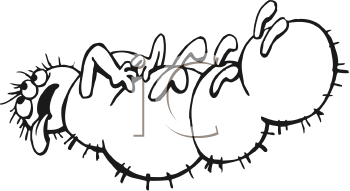 Insect Clipart